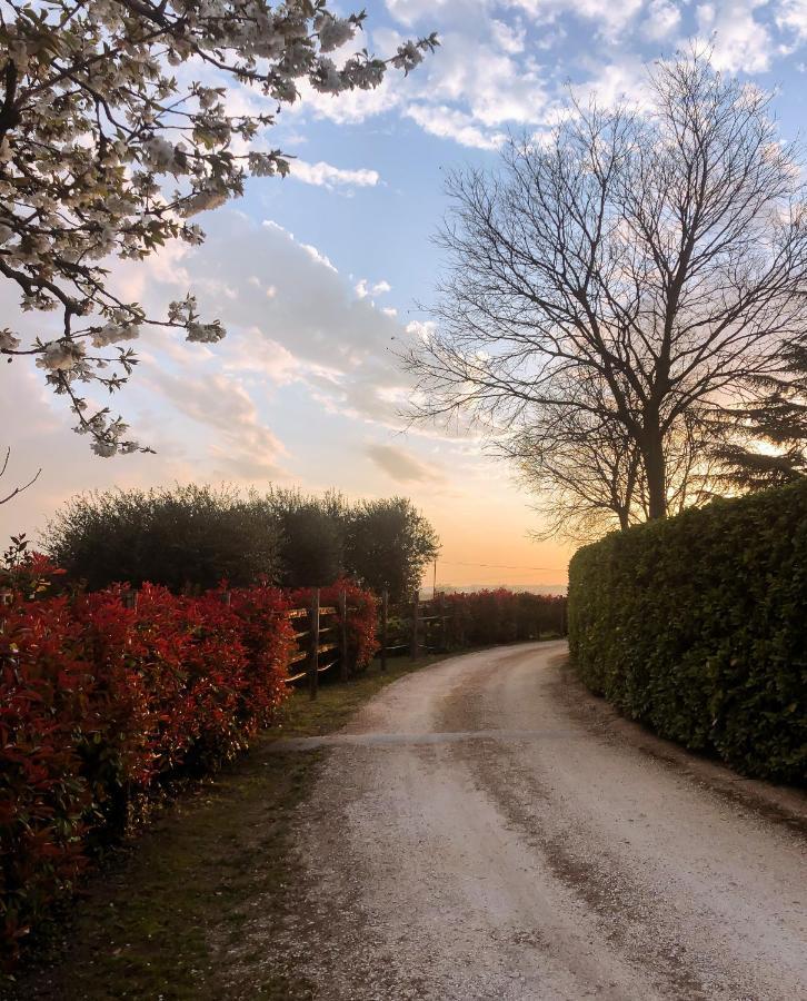 B&B Cascina Mattarelle Monzambano Zewnętrze zdjęcie