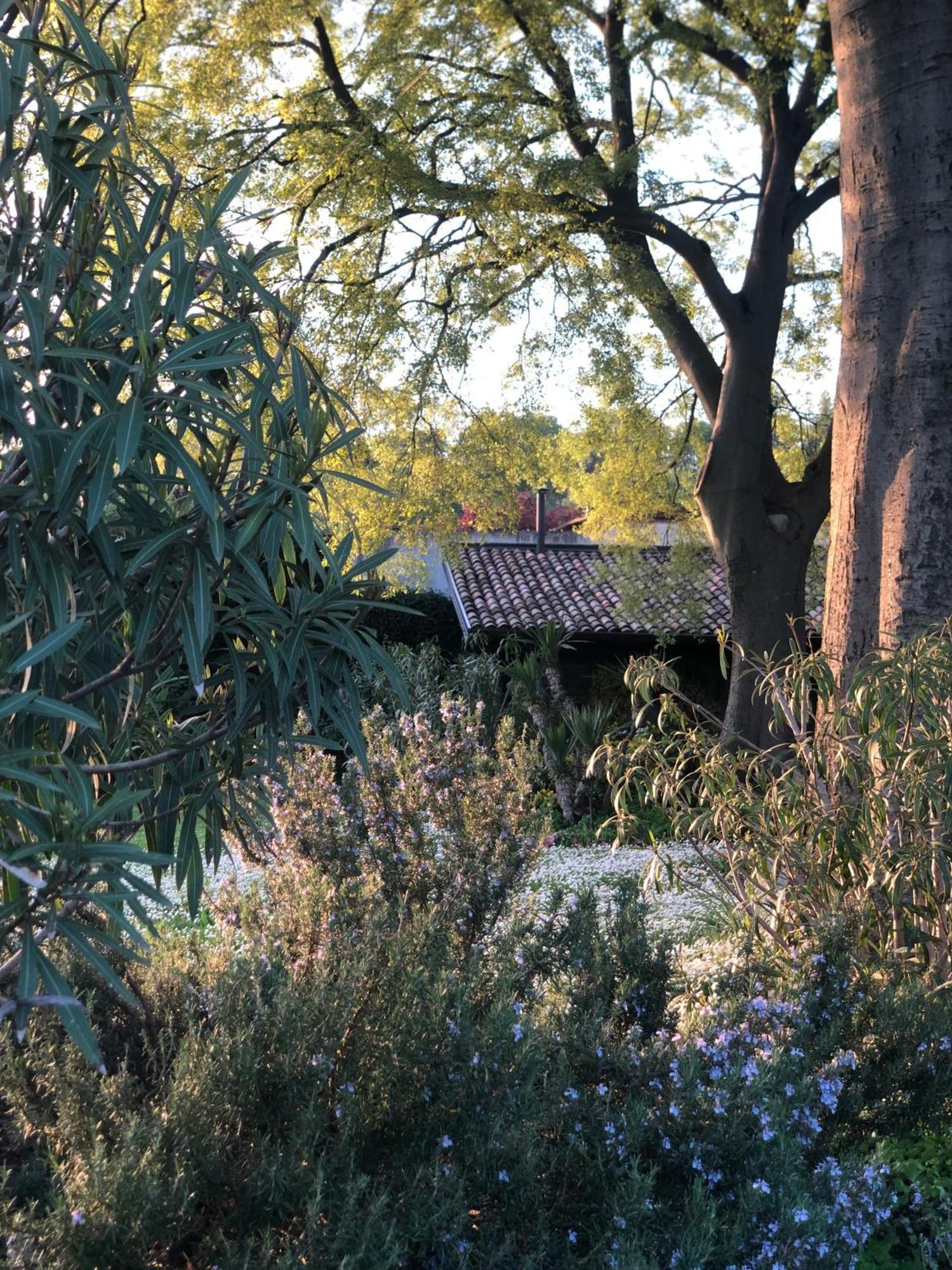 B&B Cascina Mattarelle Monzambano Zewnętrze zdjęcie